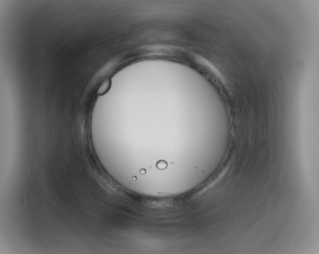 X0000114661403200910201011