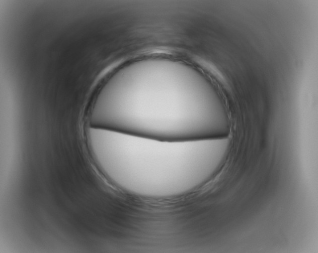 X0000114661404200910201011