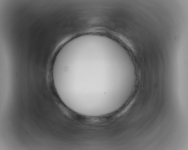 X0000114661405200910201011