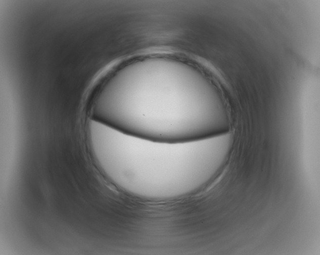 X0000114661406200910201011