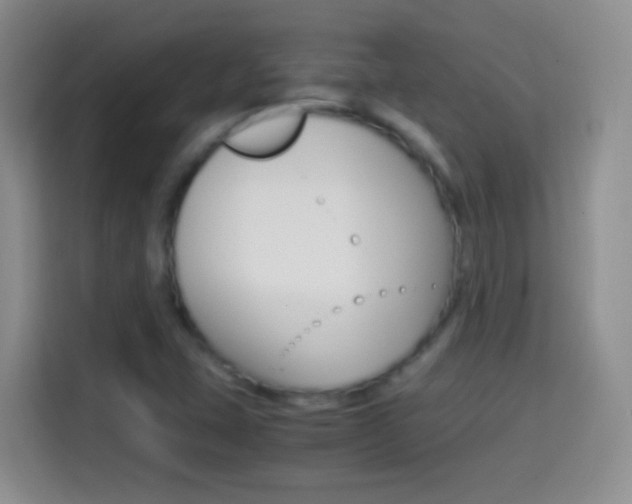 X0000114661407200910201011