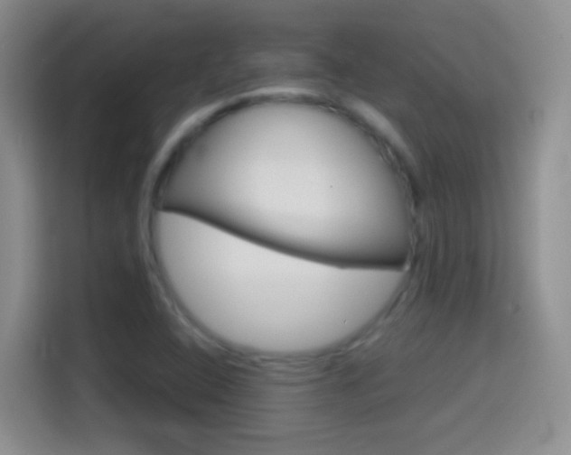 X0000114661408200910201011