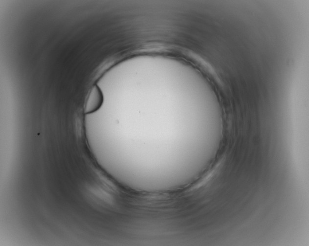 X0000114661409200910201011