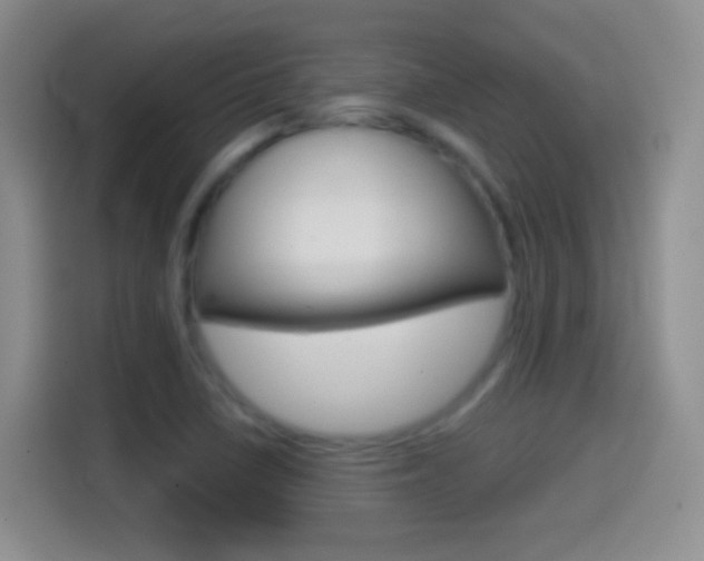 X0000114661410200910201011