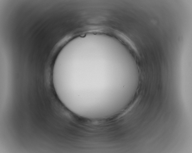 X0000114661411200910201011