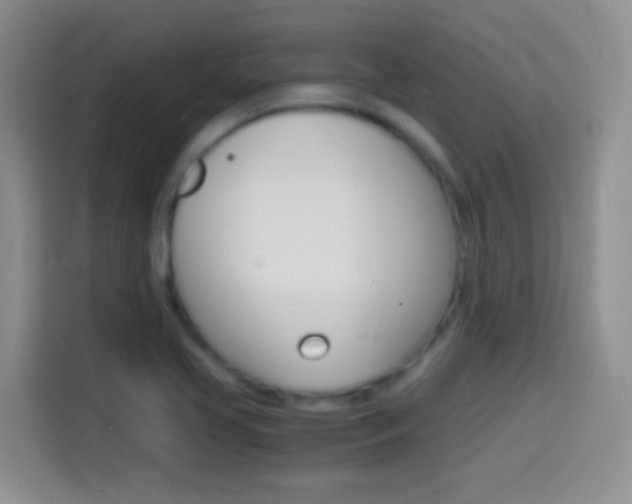 X0000114661413200910201012