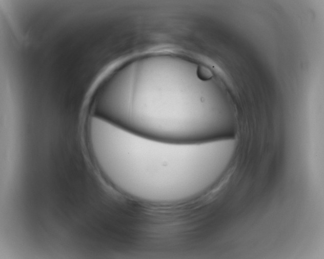 X0000114661414200910201012