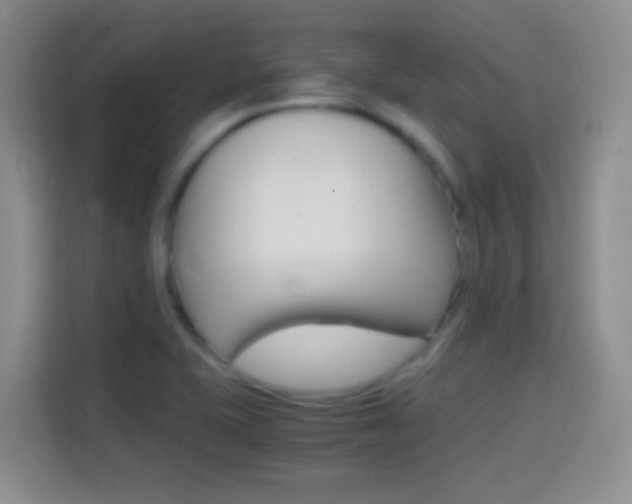 X0000114661415200910201012