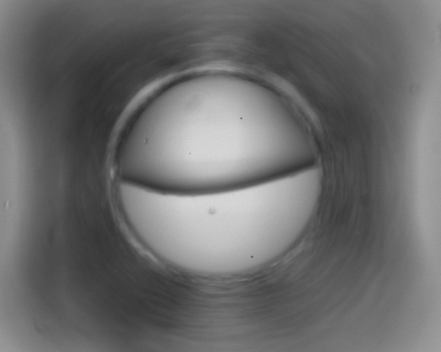 X0000114661416200910201012