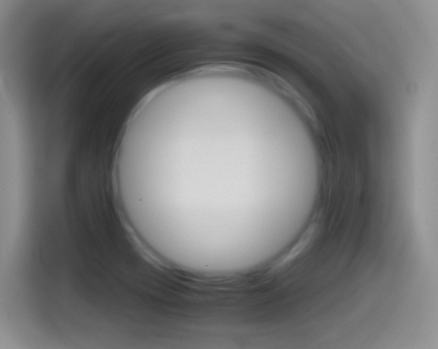 X0000114661417200910201012