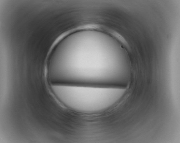 X0000114661420200910201012