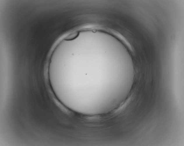 X0000114661421200910201012