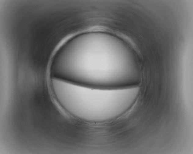 X0000114661422200910201012