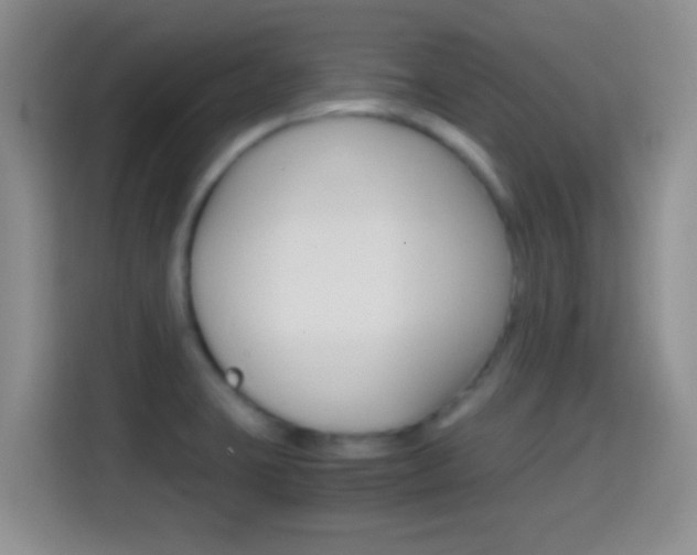 X0000114661423200910201012