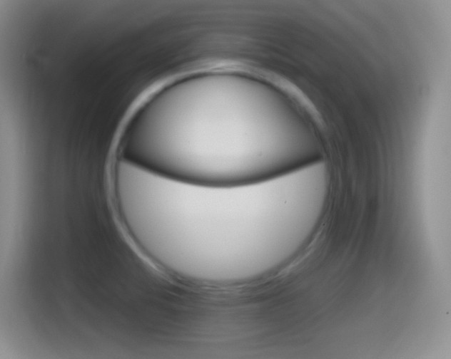 X0000114661424200910201012