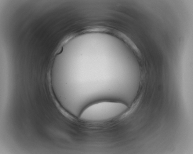 X0000114661425200910201012