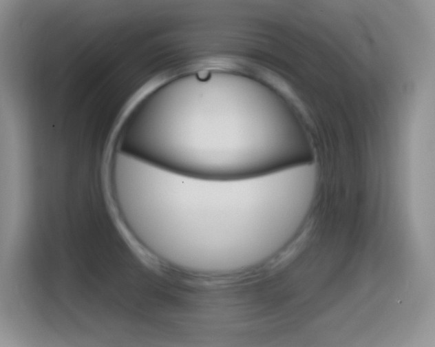 X0000114661426200910201012