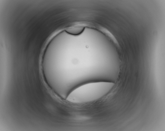 X0000114661427200910201012