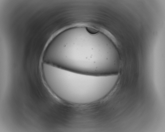 X0000114661428200910201012