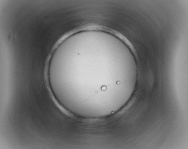 X0000114661429200910201012