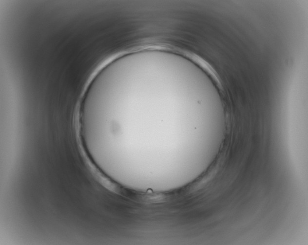 X0000114661431200910201012