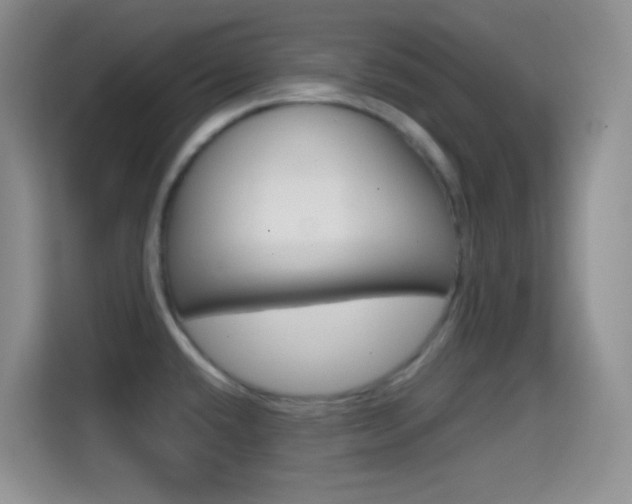 X0000114661432200910201012