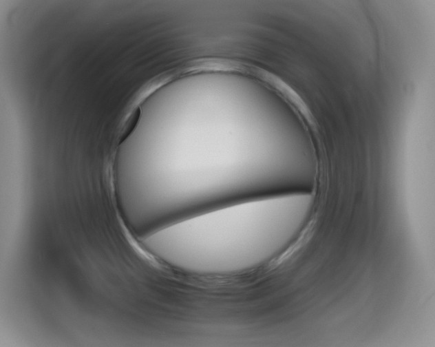 X0000114661433200910201012