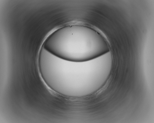 X0000114661434200910201012