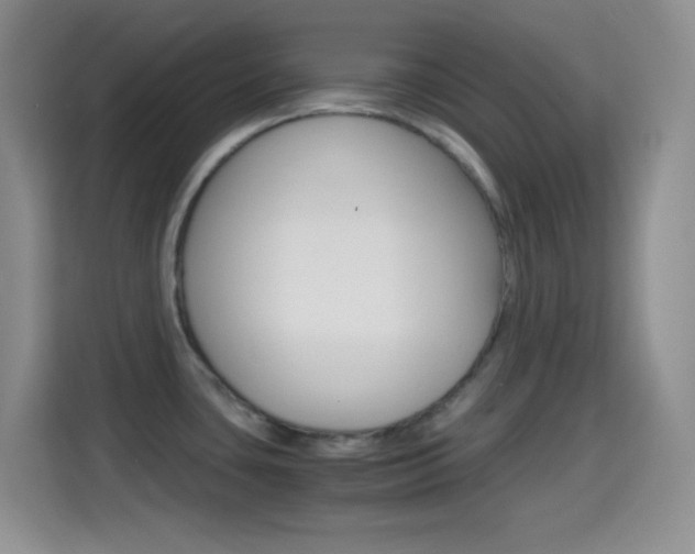 X0000114661435200910201012