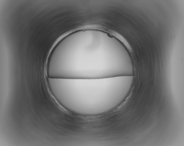 X0000114661436200910201012