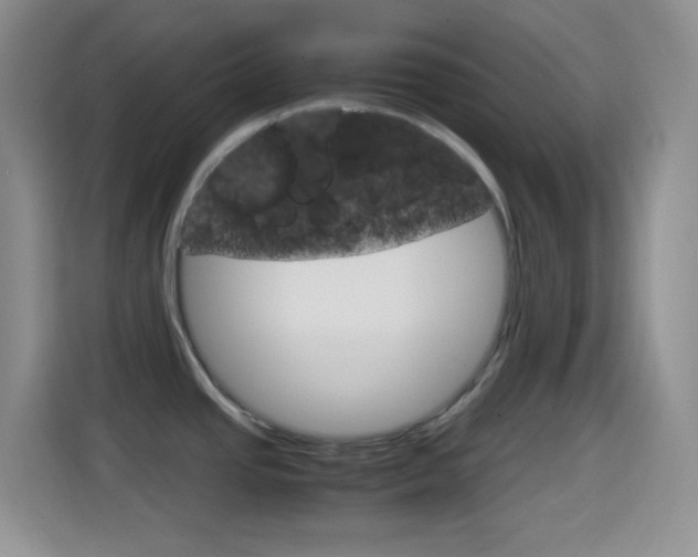 X0000114661437200910201012