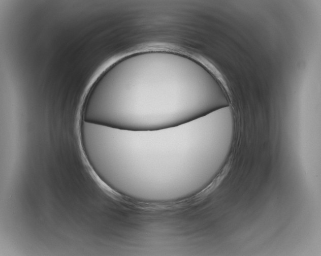 X0000114661438200910201012