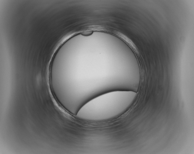 X0000114661439200910201012
