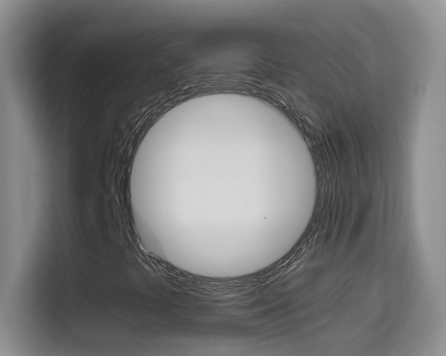 X0000114661441200910201011