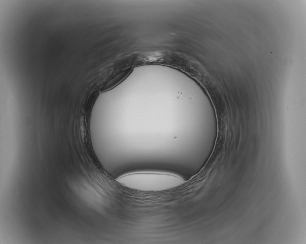 X0000114661442200910201011