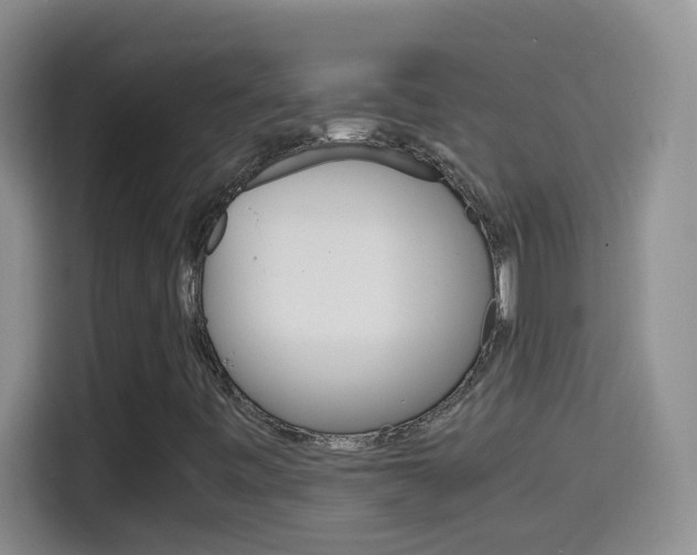 X0000114661443200910201011
