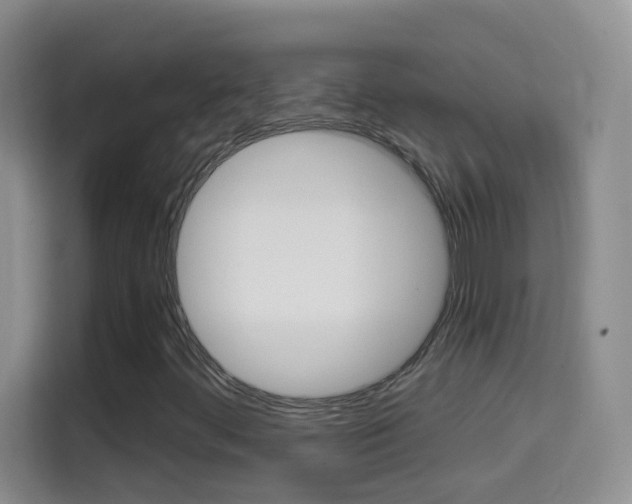 X0000114661444200910201011