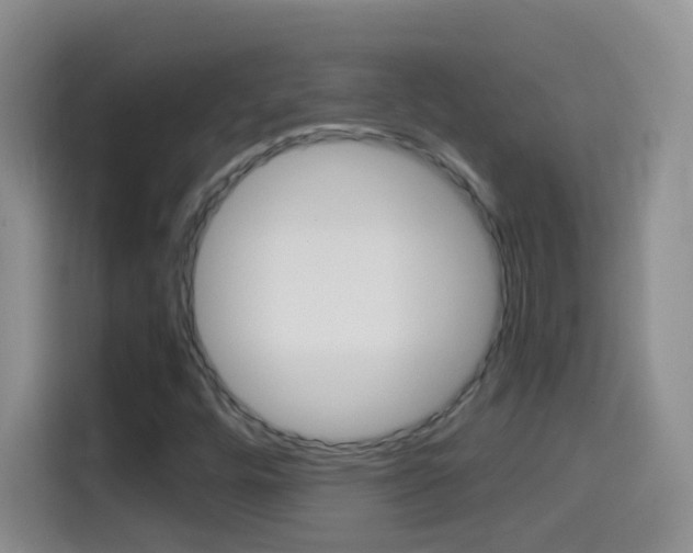 X0000114661448200910201011