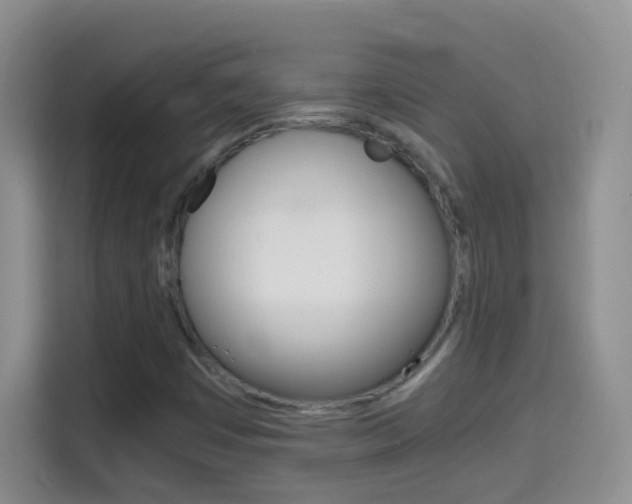 X0000114661449200910201011