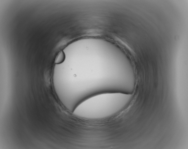X0000114661451200910201011