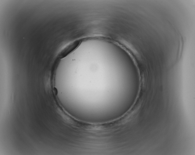 X0000114661452200910201011