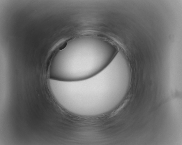 X0000114661453200910201011
