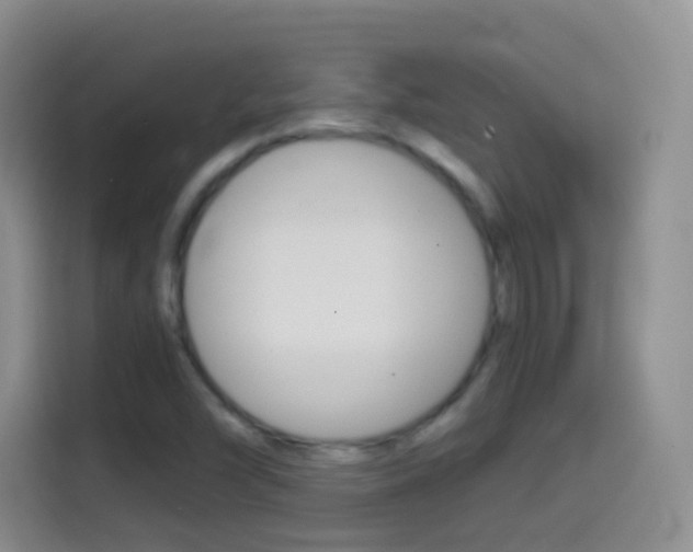 X0000114661454200910201011