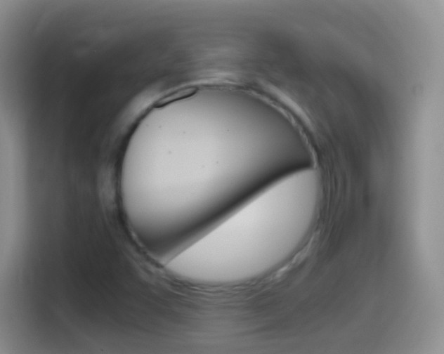 X0000114661455200910201011