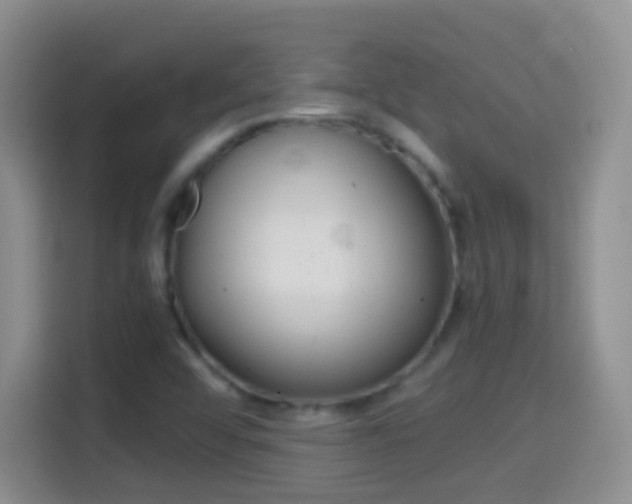 X0000114661456200910201011