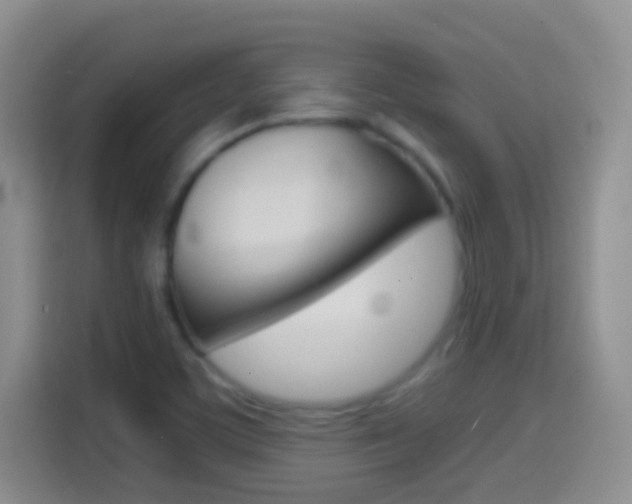 X0000114661459200910201011