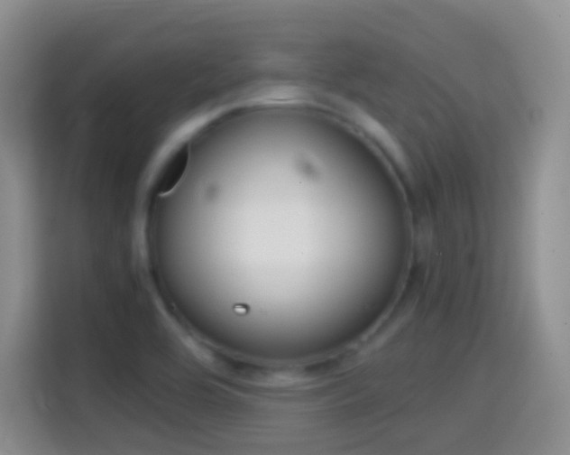 X0000114661464200910201011
