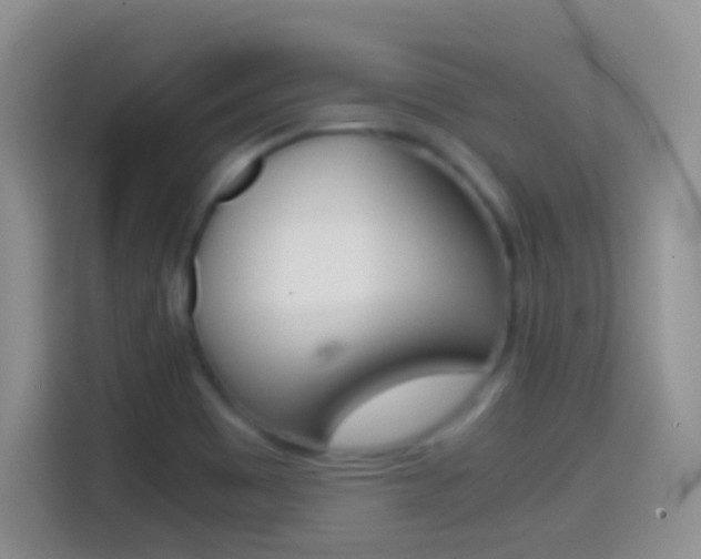 X0000114661465200910201011