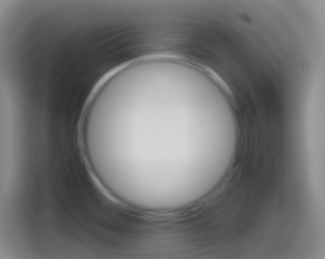 X0000114661468200910201011