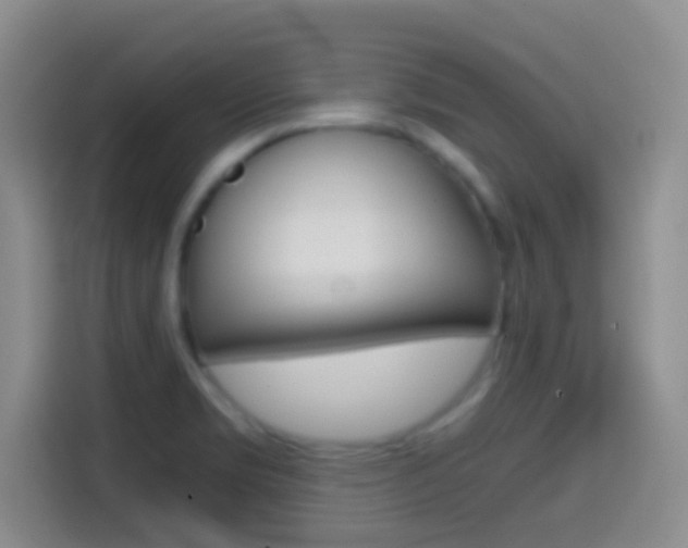 X0000114661469200910201011
